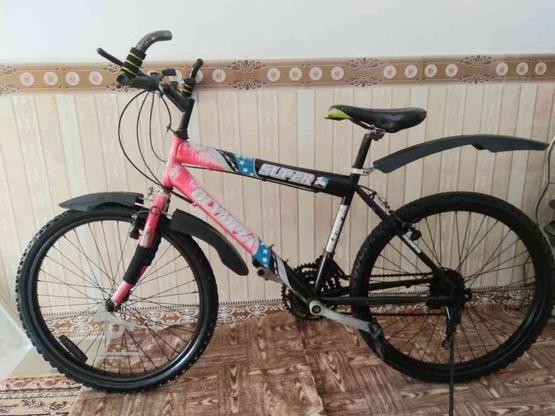 دوچرخه کوهستانی المپیا سایز 24 در گروه خرید و فروش ورزش فرهنگ فراغت در آذربایجان شرقی در شیپور-عکس1