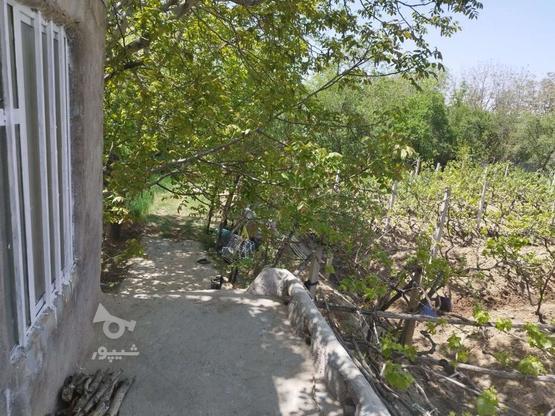 فروش باغ در اوزدمیر در گروه خرید و فروش املاک در آذربایجان شرقی در شیپور-عکس1
