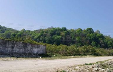 فروش زمین مسکونی 250 متری پلاک یک جنگل ابندانک لتینگان