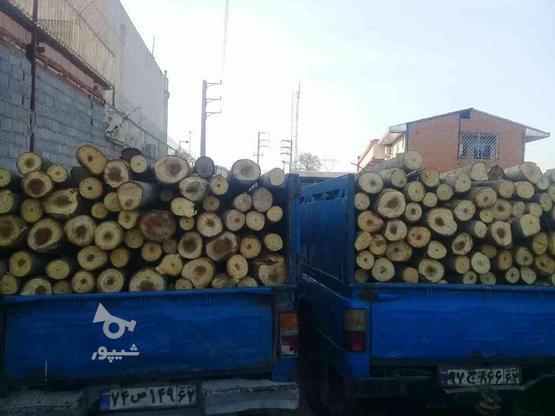 خریدوفروش چوب در گروه خرید و فروش خدمات و کسب و کار در مازندران در شیپور-عکس1