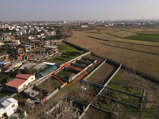 فروش زمین مسکونی 270 متر در کلا صفا در گروه خرید و فروش املاک در مازندران در شیپور-عکس1