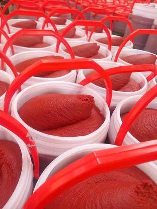 تولید وپخش رب گوجه فرنگی در گروه خرید و فروش خدمات و کسب و کار در البرز در شیپور-عکس1