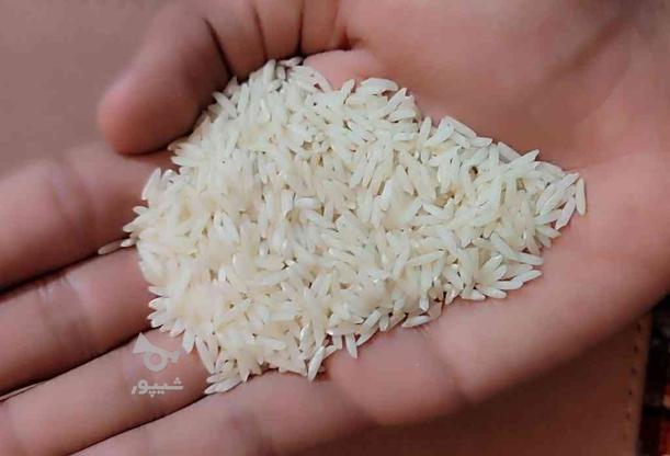 برنج هاشمی گیلان در گروه خرید و فروش خدمات و کسب و کار در گلستان در شیپور-عکس1