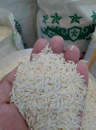 برنج هاشمی درجه 1 مازندران در گروه خرید و فروش خدمات و کسب و کار در مازندران در شیپور-عکس1