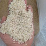 برنج درجه یک هاشمی
