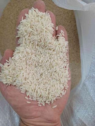 برنج درجه یک هاشمی در گروه خرید و فروش خدمات و کسب و کار در گیلان در شیپور-عکس1