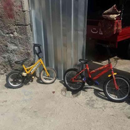 دوچرخه شیک برا بچه هاتون در گروه خرید و فروش ورزش فرهنگ فراغت در اردبیل در شیپور-عکس1