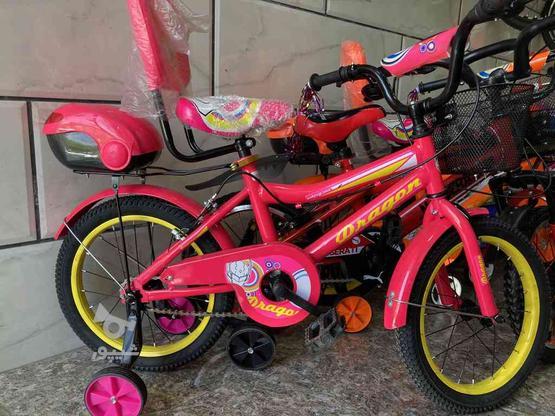 دوچرخه سایز 16 دخترانه و پسرانه مارک دراگون در گروه خرید و فروش ورزش فرهنگ فراغت در زنجان در شیپور-عکس1