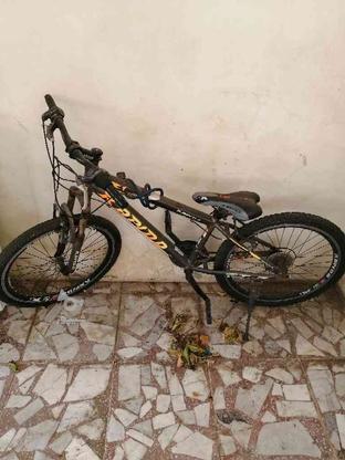 دوچرخه ایکس راپیدو سایز 24 در گروه خرید و فروش ورزش فرهنگ فراغت در مازندران در شیپور-عکس1