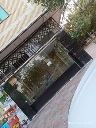 مغازه دونبش ، نبش پارک مسجد جامع ورامین در گروه خرید و فروش املاک در تهران در شیپور-عکس1