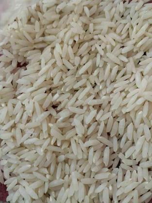 برنج طارم عطری درجه یک، از کشاورز در گروه خرید و فروش خدمات و کسب و کار در مازندران در شیپور-عکس1