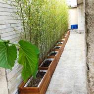خدمات باغبانی فضای سبز خاک گلدان درمان گل منزل تهران
