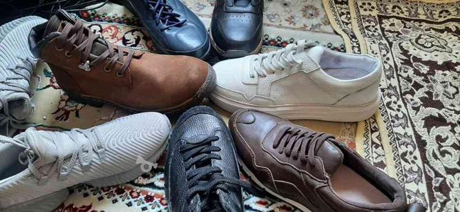 کفش چرم طبیعی در گروه خرید و فروش لوازم شخصی در تهران در شیپور-عکس1