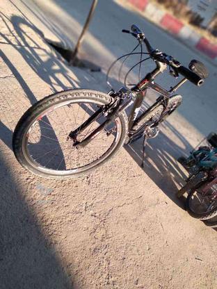 دوچرخه ایکس ترانکس سند دار در گروه خرید و فروش ورزش فرهنگ فراغت در آذربایجان غربی در شیپور-عکس1