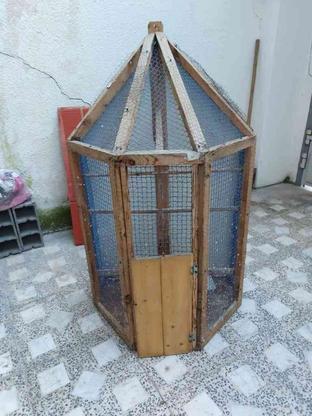 قفس برای انواع پرنده در گروه خرید و فروش ورزش فرهنگ فراغت در مازندران در شیپور-عکس1