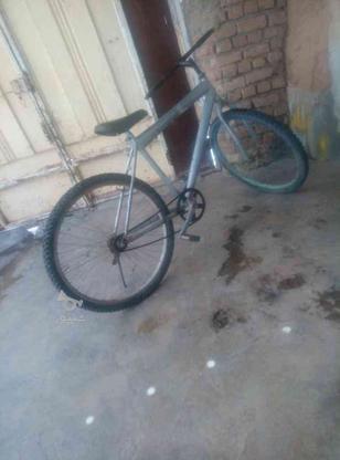 دوچرخه سالم سایز 26 در گروه خرید و فروش ورزش فرهنگ فراغت در خراسان رضوی در شیپور-عکس1