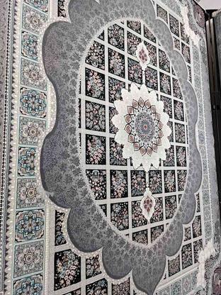 فرش مانلی 700شانه در میاندوآب در گروه خرید و فروش لوازم خانگی در آذربایجان غربی در شیپور-عکس1