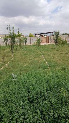 باغ چهاردیواری مناسب ساخت ویلابه متراژ1060متر در گروه خرید و فروش املاک در اصفهان در شیپور-عکس1