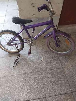 فروش دوچرخه 16 در گروه خرید و فروش ورزش فرهنگ فراغت در سمنان در شیپور-عکس1