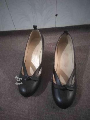 کفش زنانه و دخترانه سایز 36 در گروه خرید و فروش لوازم شخصی در البرز در شیپور-عکس1