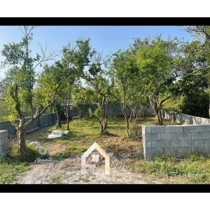 فروش زمین 202 متر در کشکو در گروه خرید و فروش املاک در مازندران در شیپور-عکس1