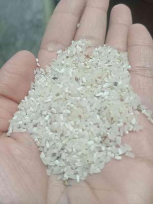 برنج نیم دانه فجر 30ت در گروه خرید و فروش خدمات و کسب و کار در گلستان در شیپور-عکس1