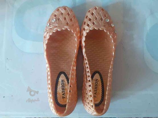 کفش سایز 37 کاملا نو و ویترین بوده تک سایز در گروه خرید و فروش لوازم شخصی در گیلان در شیپور-عکس1