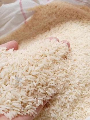 برنج طارم امساله در گروه خرید و فروش خدمات و کسب و کار در مازندران در شیپور-عکس1