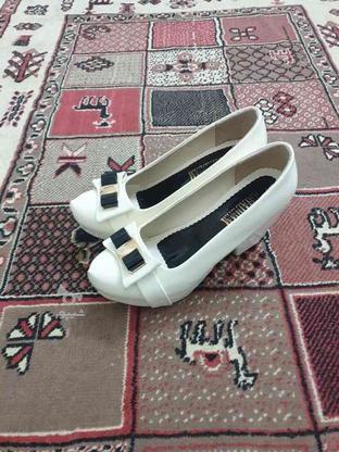 کفش مجلسی زنانه در گروه خرید و فروش لوازم شخصی در سمنان در شیپور-عکس1