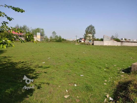 زمین مسکونی 500 متری سیا اسطلخ در گروه خرید و فروش املاک در گیلان در شیپور-عکس1