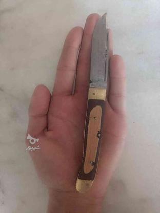 چاقو تاشو مناسب در گروه خرید و فروش لوازم خانگی در تهران در شیپور-عکس1