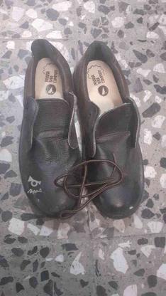 کفش کار سالم در گروه خرید و فروش لوازم شخصی در اصفهان در شیپور-عکس1