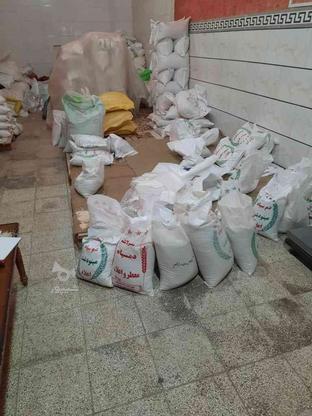 فروش برنج طارم و برنج فجر در گروه خرید و فروش خدمات و کسب و کار در آذربایجان شرقی در شیپور-عکس1