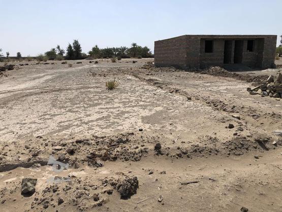 زمین گلشهر در گروه خرید و فروش املاک در سیستان و بلوچستان در شیپور-عکس1