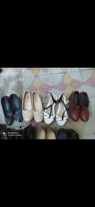 8 جفت کفش در حد نو همش باهم در گروه خرید و فروش لوازم شخصی در کردستان در شیپور-عکس1