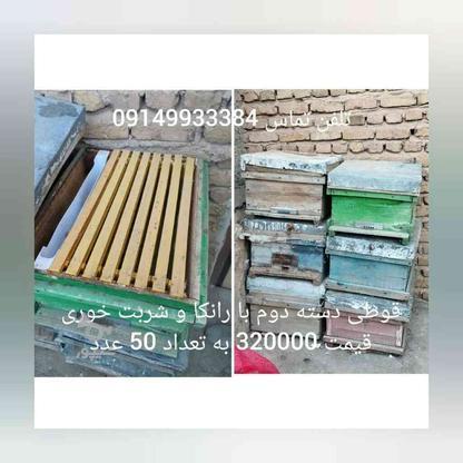 فروش قوطی زنبور در گروه خرید و فروش صنعتی، اداری و تجاری در آذربایجان شرقی در شیپور-عکس1