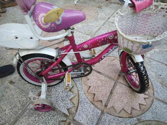 دوچرخه 12سالم در گروه خرید و فروش ورزش فرهنگ فراغت در گیلان در شیپور-عکس1
