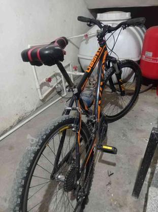 دوچرخه ویوا در گروه خرید و فروش ورزش فرهنگ فراغت در مازندران در شیپور-عکس1