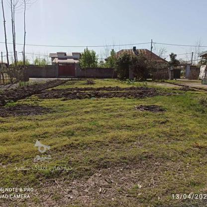 فروش زمین مسکونی 236 متر در جاده کیاشهر در گروه خرید و فروش املاک در گیلان در شیپور-عکس1