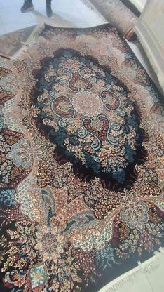فرش 700شانه اصلی /رنگ سرمه ای در گروه خرید و فروش لوازم خانگی در اصفهان در شیپور-عکس1