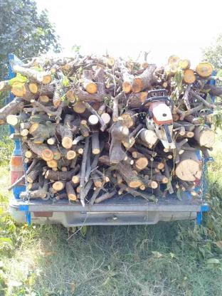 خریدار چوب درخت قطع برش حمل انجام میشود در گروه خرید و فروش خدمات و کسب و کار در گلستان در شیپور-عکس1