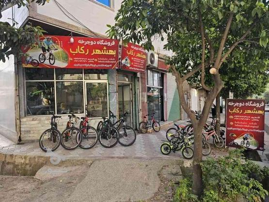 دوچرخه از سایز 12 تا 29 آلومینیومی در گروه خرید و فروش خدمات و کسب و کار در مازندران در شیپور-عکس1