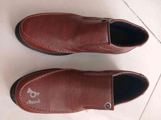 یک جفت کفش کاملا نو مردانه در گروه خرید و فروش لوازم شخصی در خراسان رضوی در شیپور-عکس1