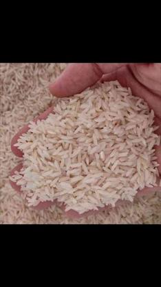 برنج هاشمی معطر و خوشمزه در گروه خرید و فروش خدمات و کسب و کار در اردبیل در شیپور-عکس1