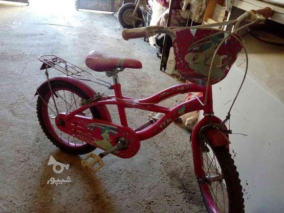 فروش دوچرخه در گروه خرید و فروش ورزش فرهنگ فراغت در کردستان در شیپور-عکس1