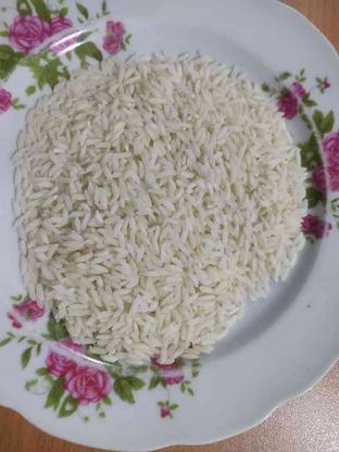برنج کشت اول اماده برای فروش در گروه خرید و فروش خدمات و کسب و کار در مازندران در شیپور-عکس1