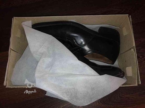 کفش تمام چرم مردانه دست دوز در گروه خرید و فروش لوازم شخصی در آذربایجان شرقی در شیپور-عکس1