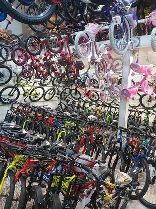دوچرخه 20 دخترانه پورت لاین در گروه خرید و فروش ورزش فرهنگ فراغت در زنجان در شیپور-عکس1