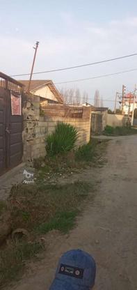زمین مسکونی 169 متر در گروه خرید و فروش املاک در مازندران در شیپور-عکس1