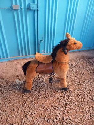 اسب سالم در حد نو در گروه خرید و فروش ورزش فرهنگ فراغت در مازندران در شیپور-عکس1